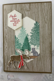 20_11_22_WeihnachtenElch