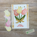 22_02_27_FrühlingszeitTulpengrüße