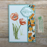 22_02_01_MinihopTulpen