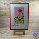 22_05_26_MinihopPaintedPoppies