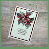 22_09_25_DerfrueheVogelWeihnachtskarteWeihnachtsstern