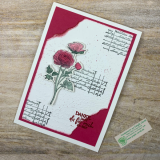 22_07_05_KylieRanunkeln