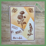 22_09_16_RetriformtechnikRanunkel