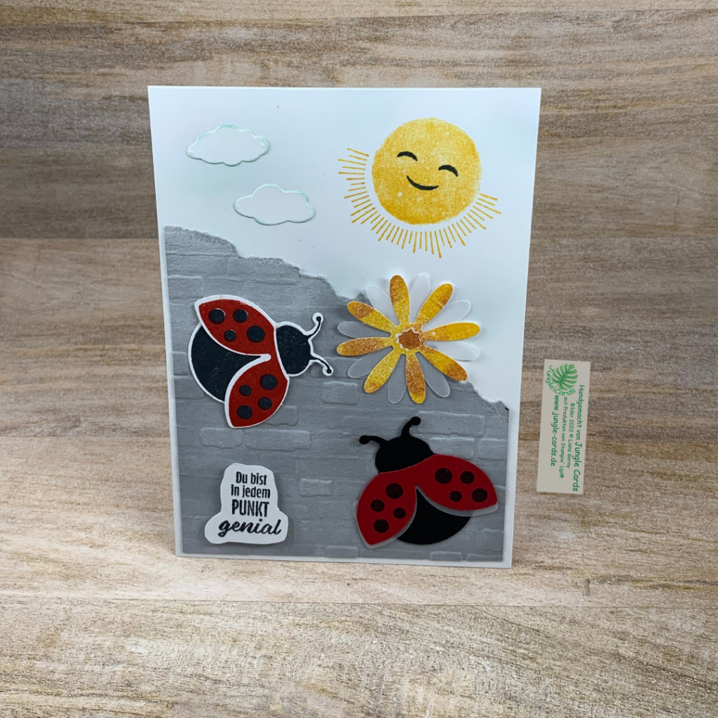 Flotter Käfer, Sonnenschein, Gänseblümchen