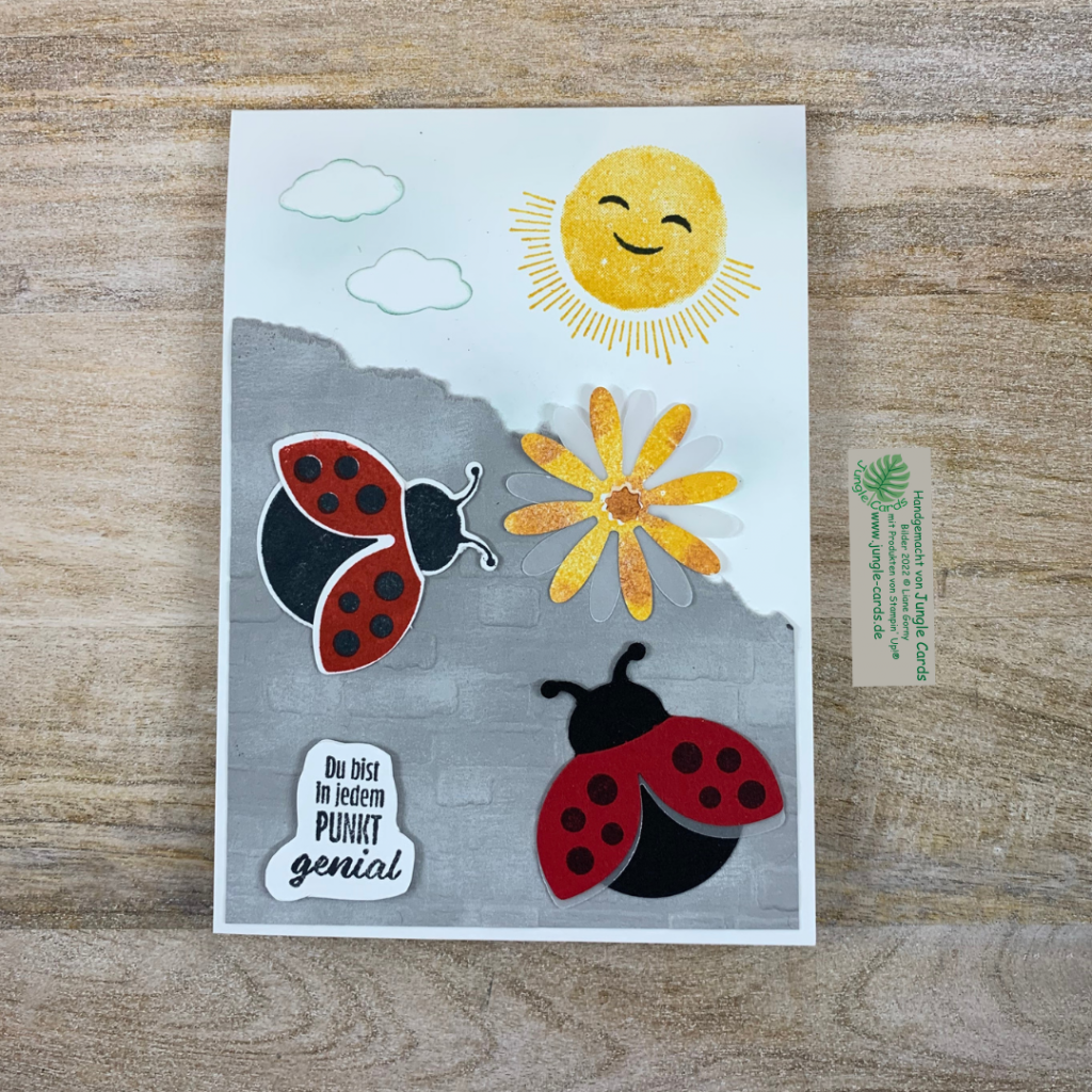 Flotter Käfer, Sonnenschein, Gänseblümchen, Grußkarte