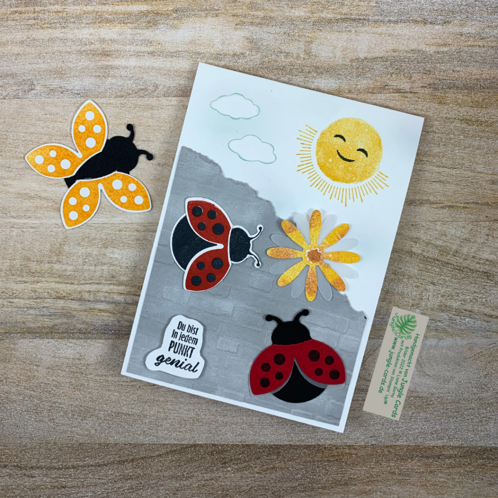 Flotter Käfer, Marienkäfer, Sonnenschein, Gänseblümchen, Schmetterling, Geburtstagskarte