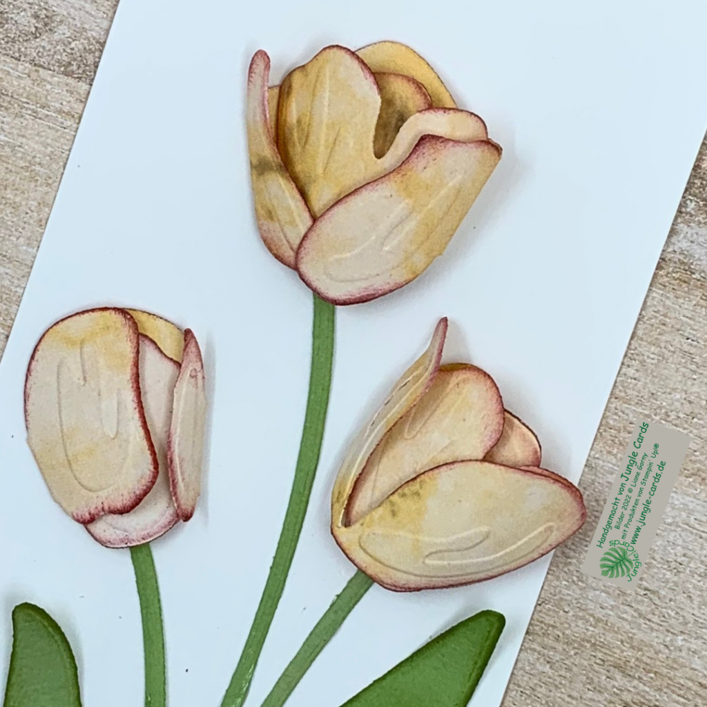 geprägte Tulpen