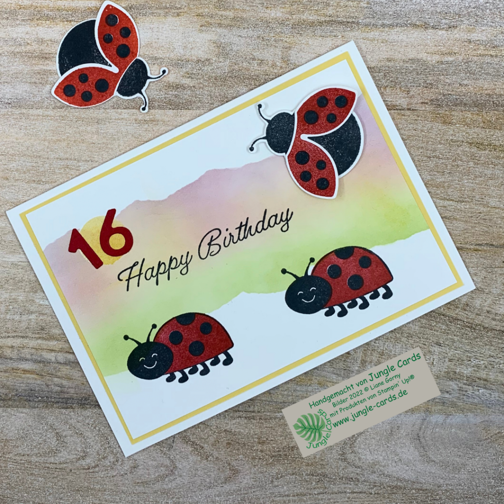 Geburtstagskarte, Flotter Käfer,
Happy Birthsday
