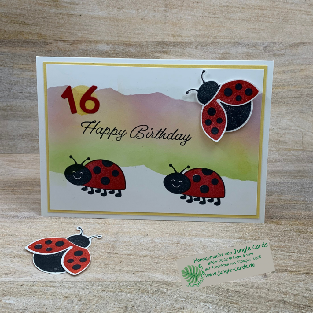 Geburtstagskarte, Flotter Käfer
